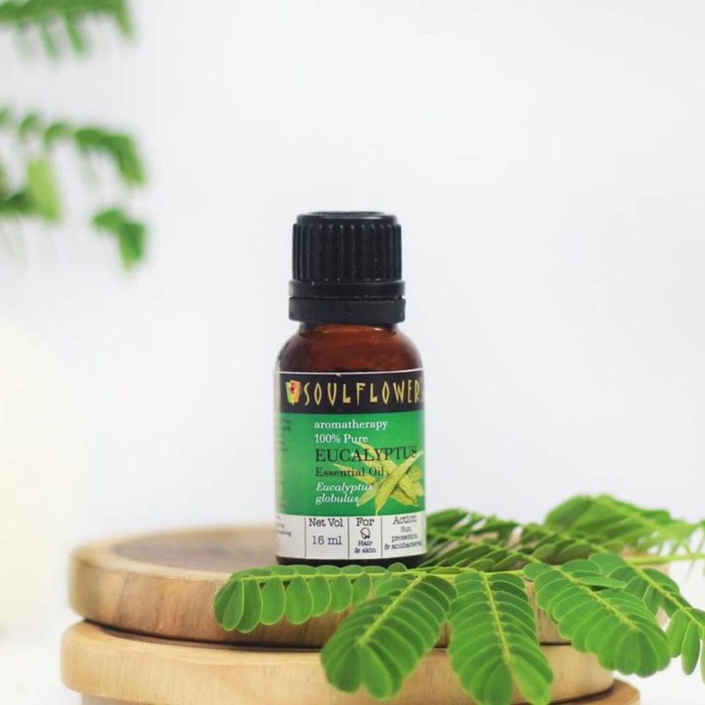 Soulflower Eucalyptus (Nilgiri) Essential Oil, for Steam Inhaler, Cold and Cough, Relaxing