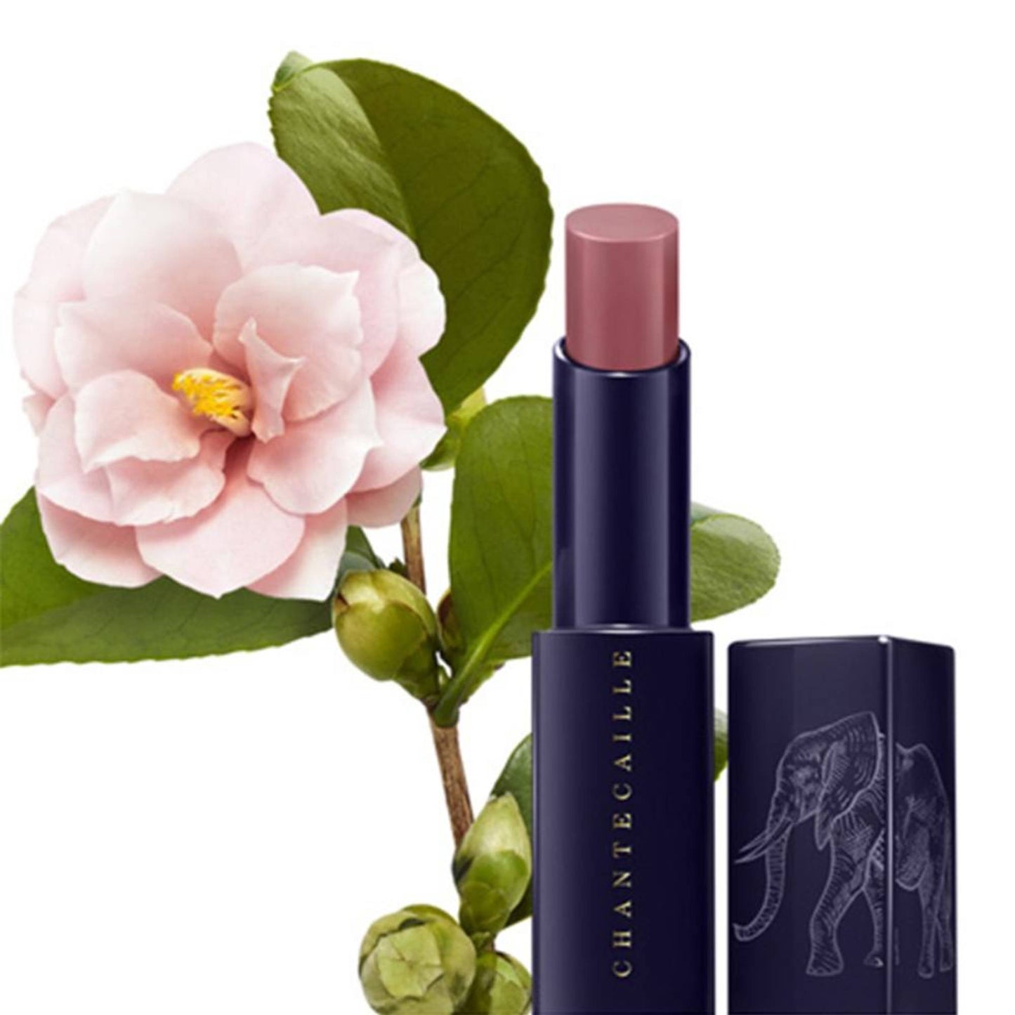 Chantecaille Lip Veil - Honeypot