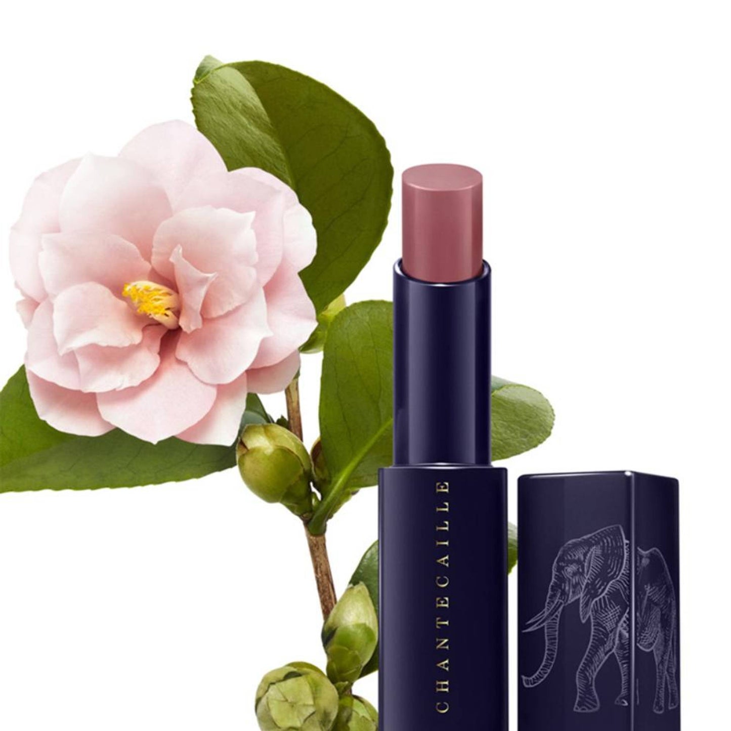 Chantecaille Lip Veil - Moabi