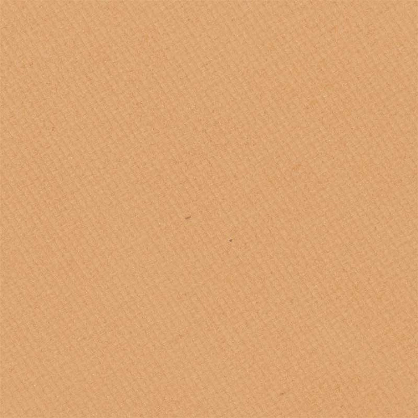 Kryolan Cake Make-up - Fs 22