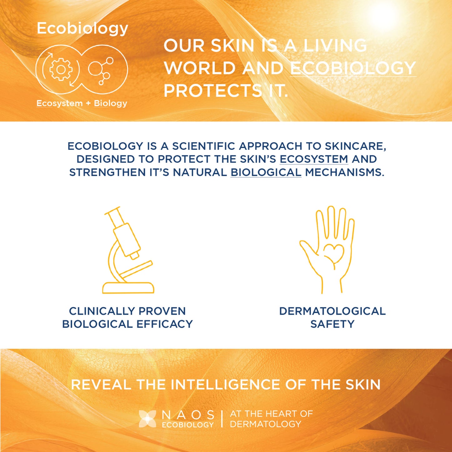 Bioderma Photoderm AKN Mat SPF 30 PA+++ Sunscreen for Oily & Acne-Prone Skin | In Vivo Tested