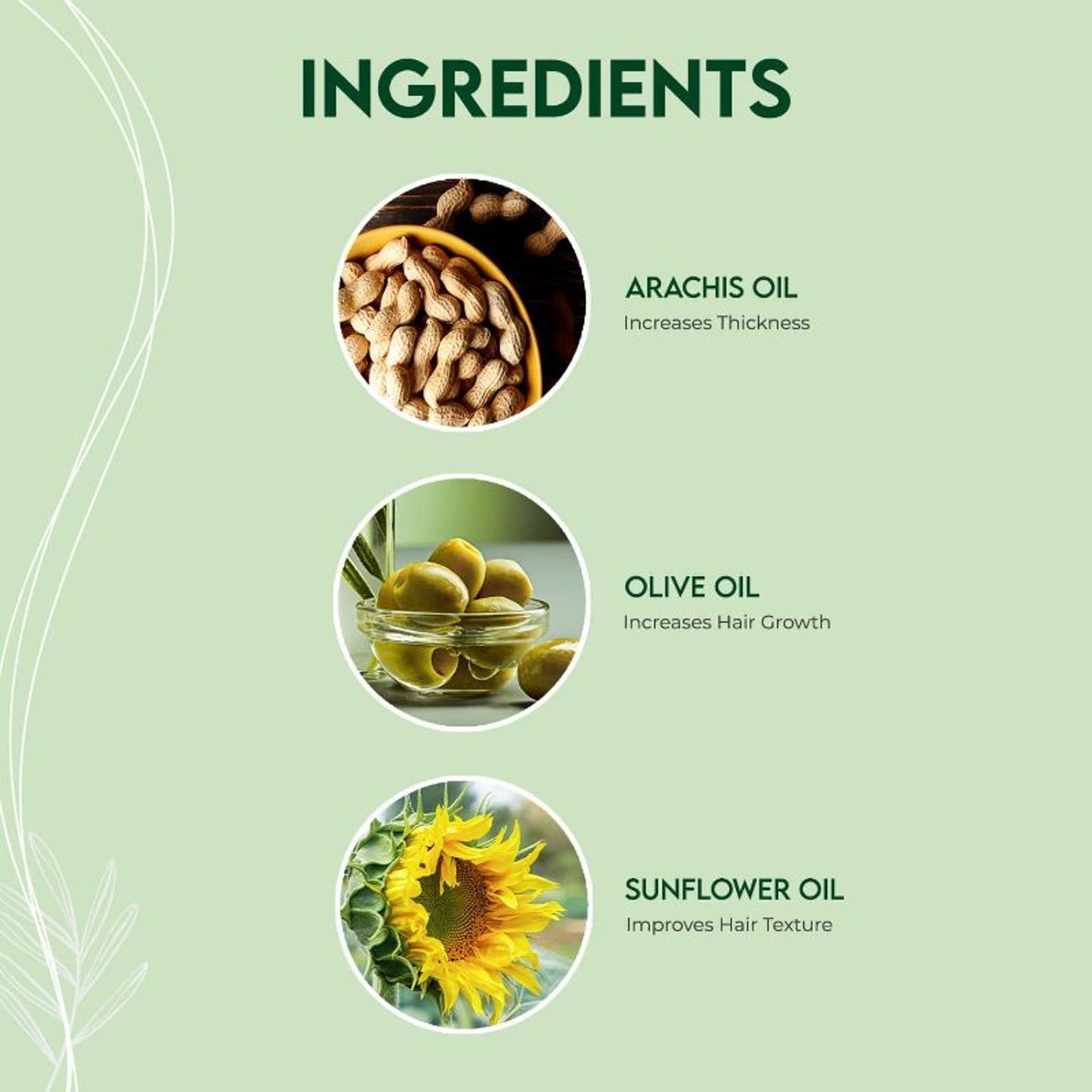 Jovees Bhringraj & Olive Hair Oil