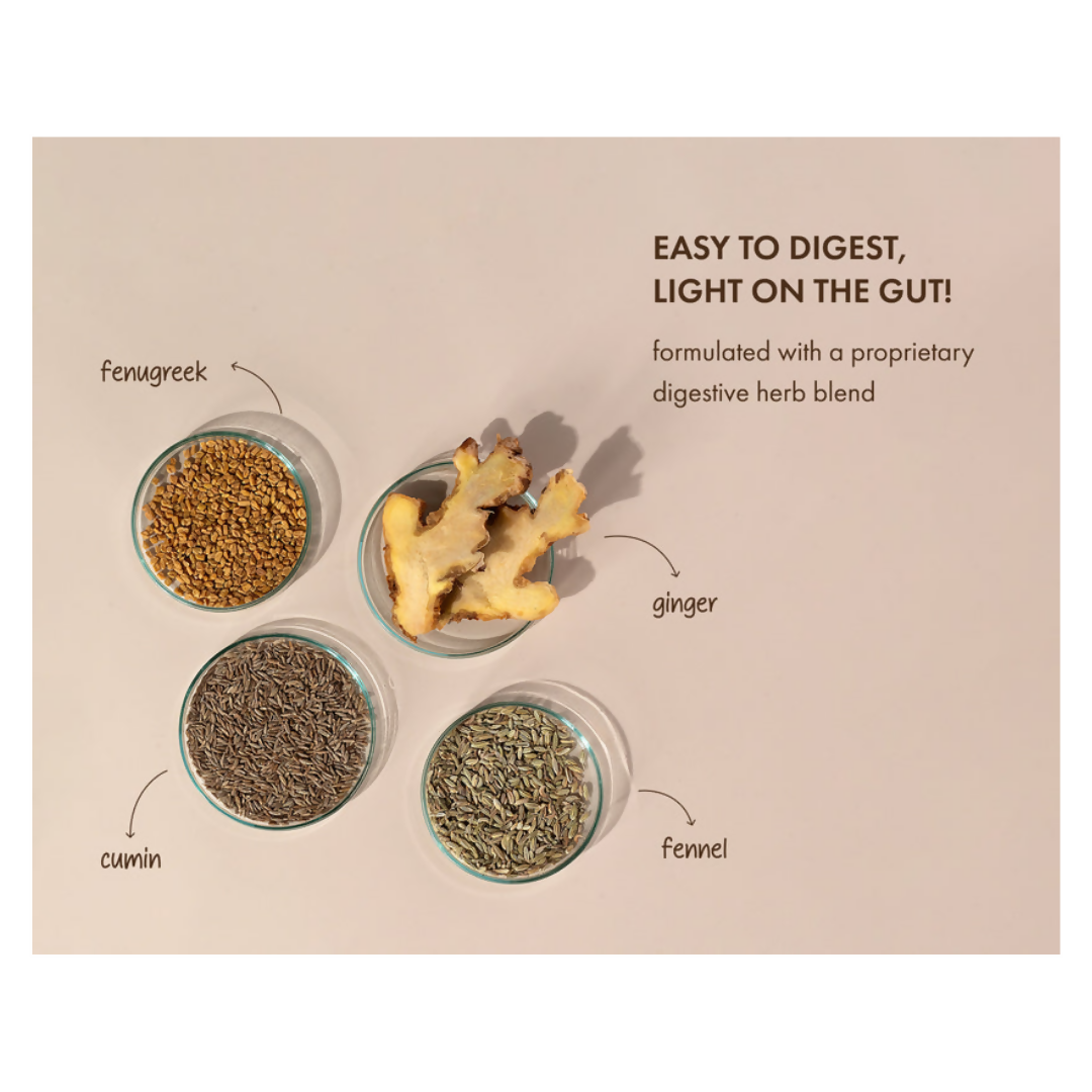Cosmix No Nonsense Plant Protein Chikmagalur Mocha health drink with mocha flavor and plant-based ingredients in a ready-to-drink bottle.