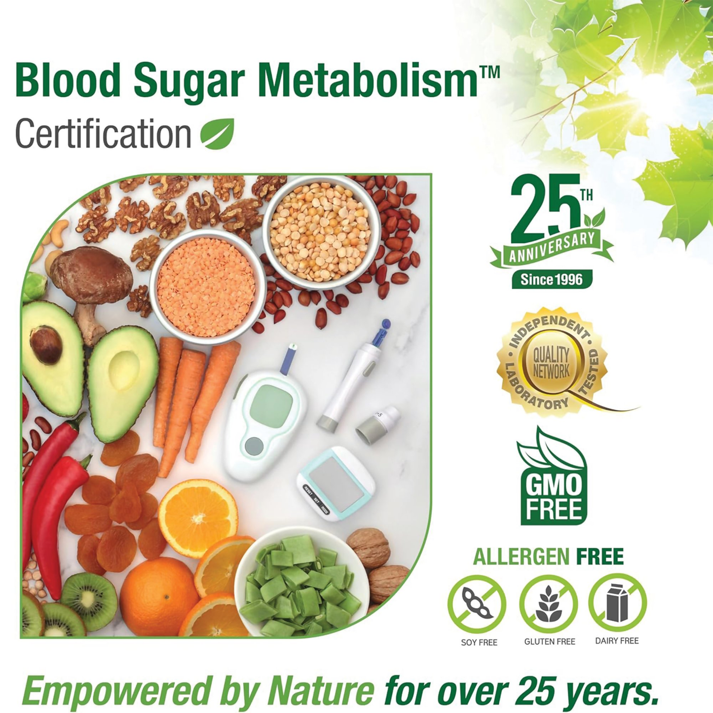 The Ayur House Blood Sugar Metabolism Capsules