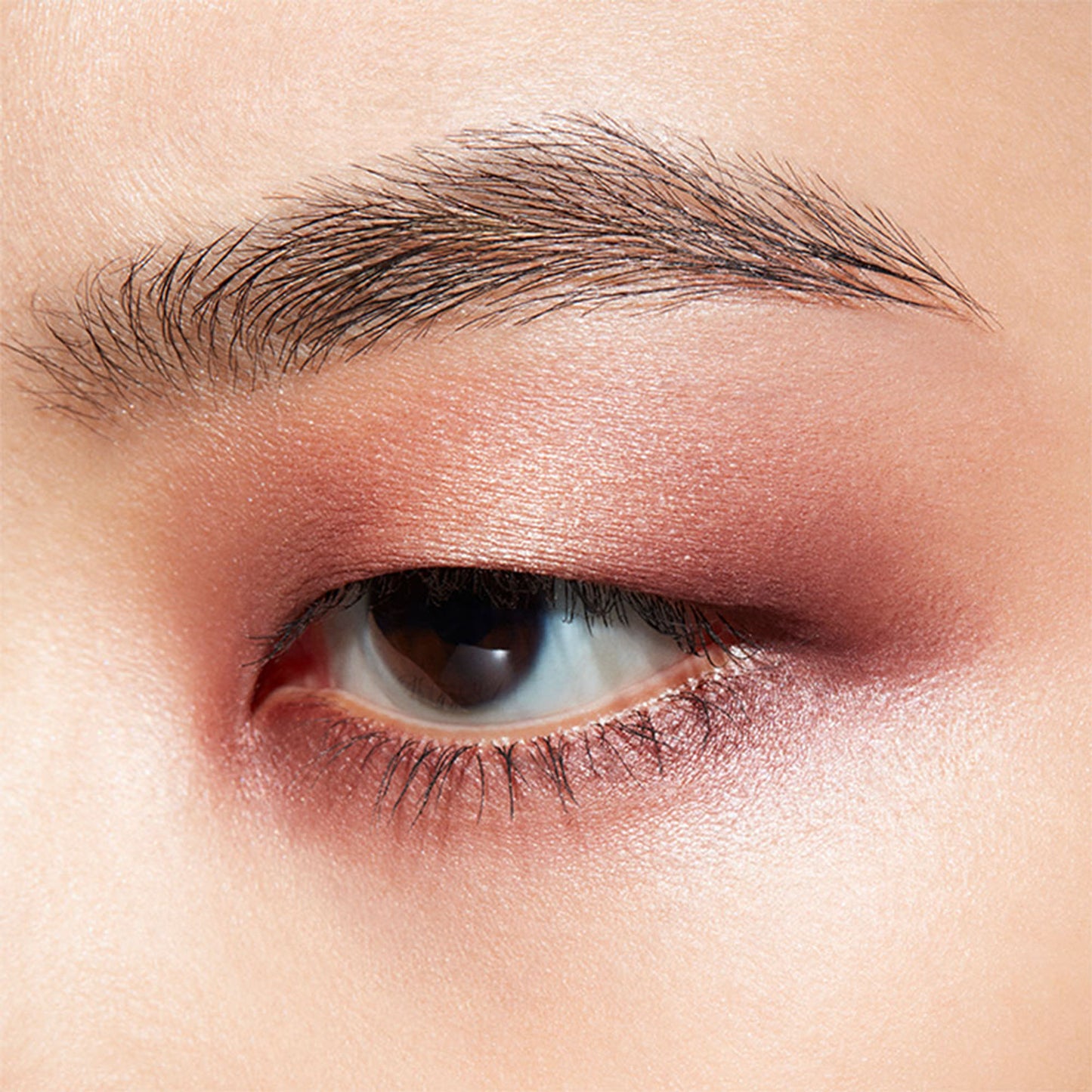 M.A.C Connect In Colour Eye Shadow Palette X6 - Embedded In Burgundy