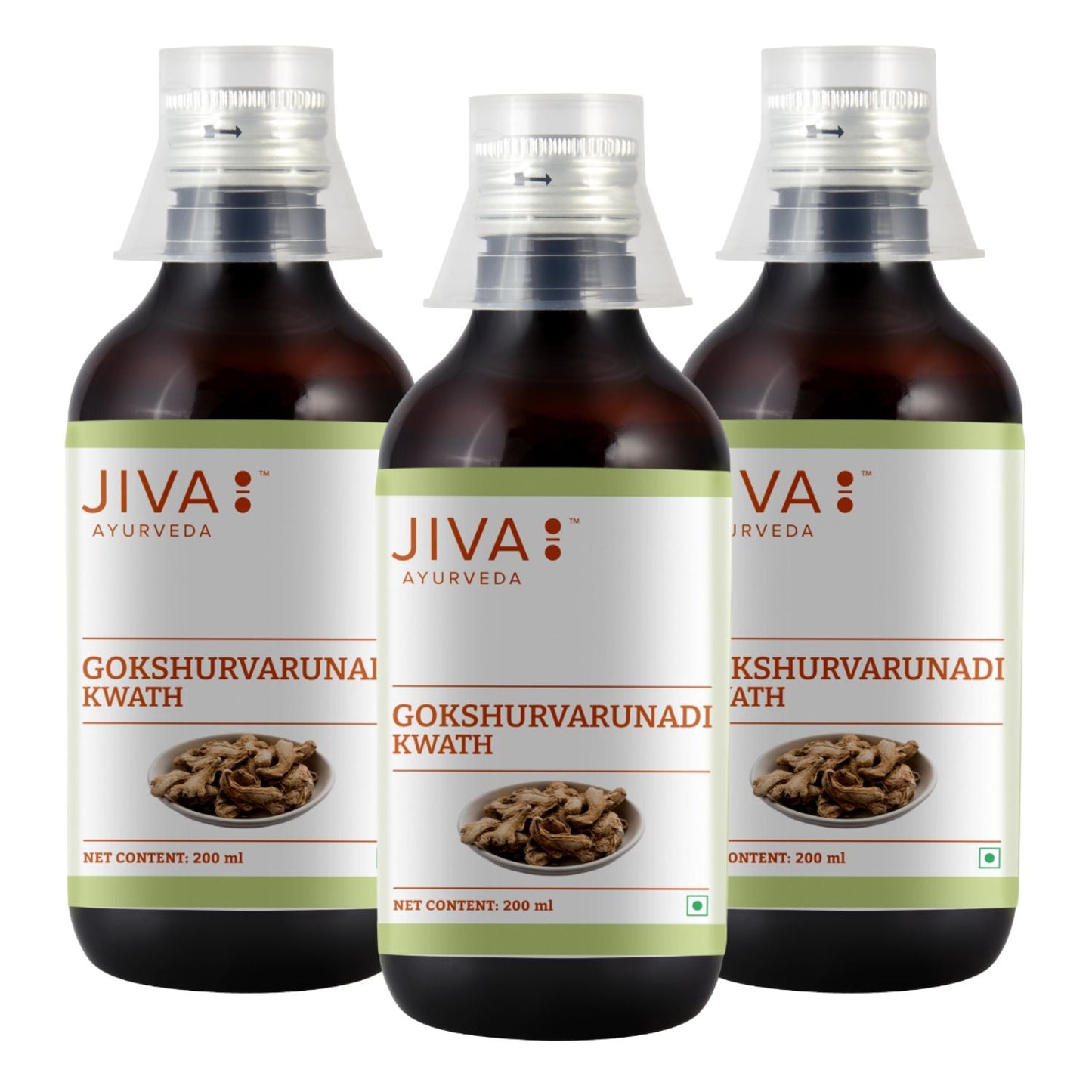 Jiva Ayurveda Gokshurvarunadi Kwath - Traditional Herbal Preparation