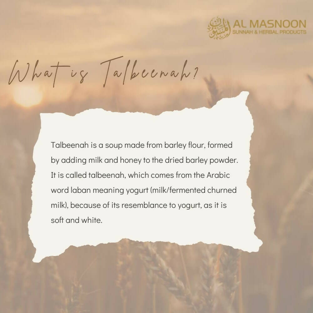 Al Masnoon Talbina Special With Dry Fruits - Indyancart