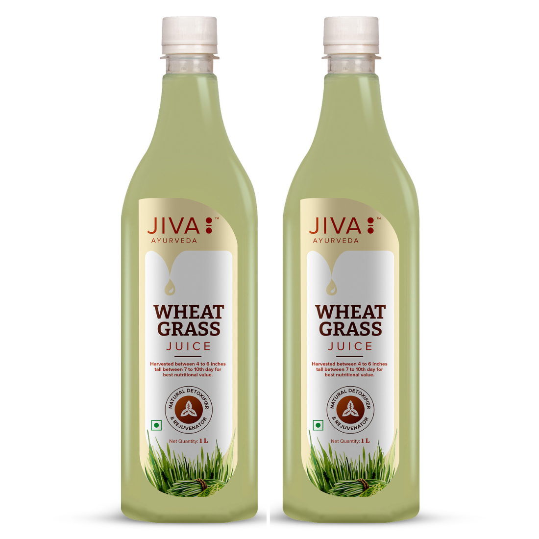 Jiva Ayurveda Wheatgrass Juice Good - 1Ltr (Pack of 1)