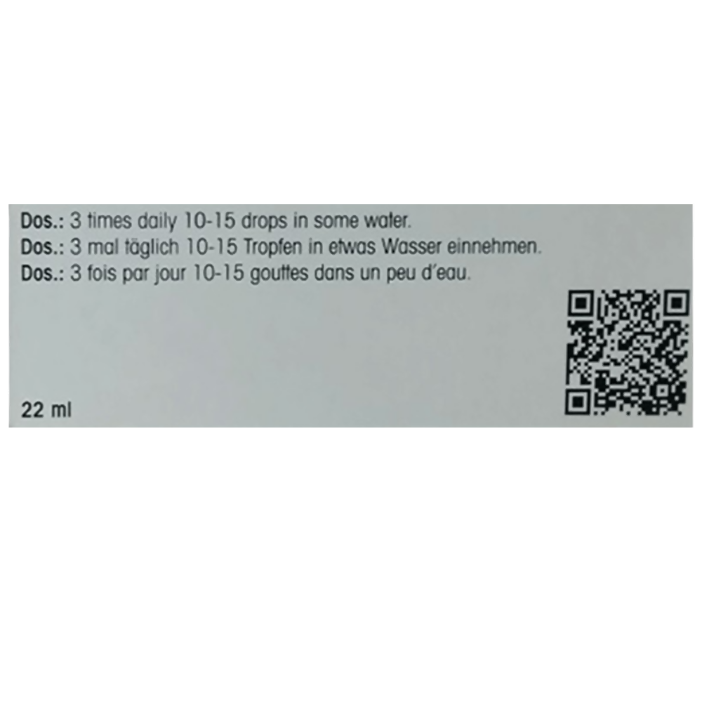 Dr. Reckeweg R 193 Immune System Fortifier Drop