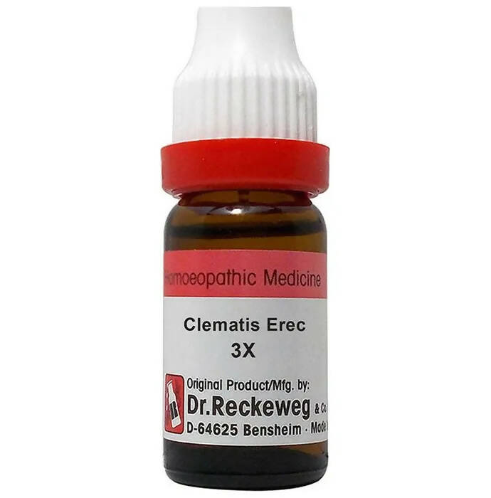 Dr. Reckeweg Clematis Erec Dilution