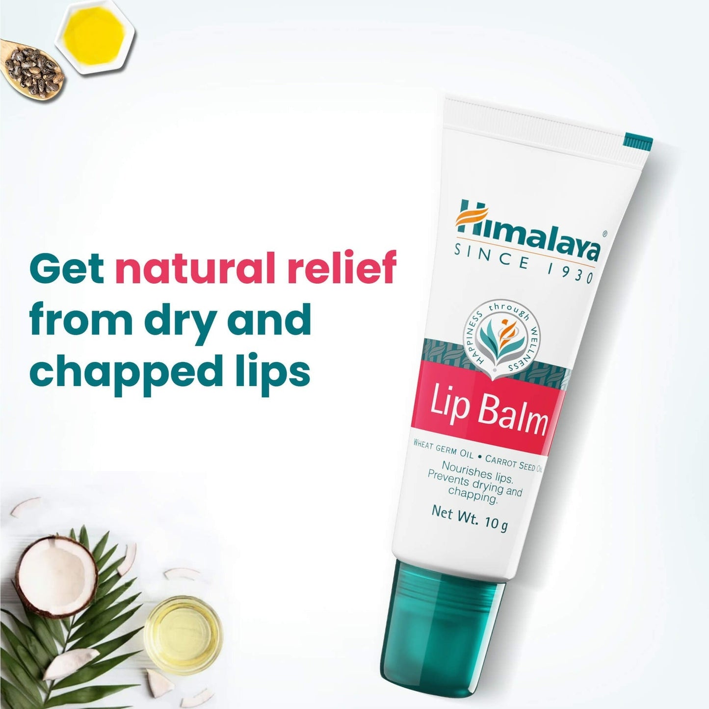 Himalaya Herbals Lip Balm - Indyancart