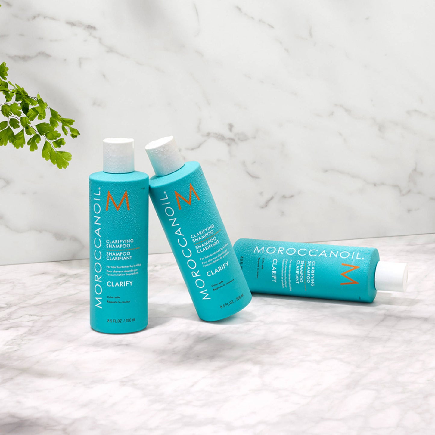 Moroccanoil Clarifying Shampoo