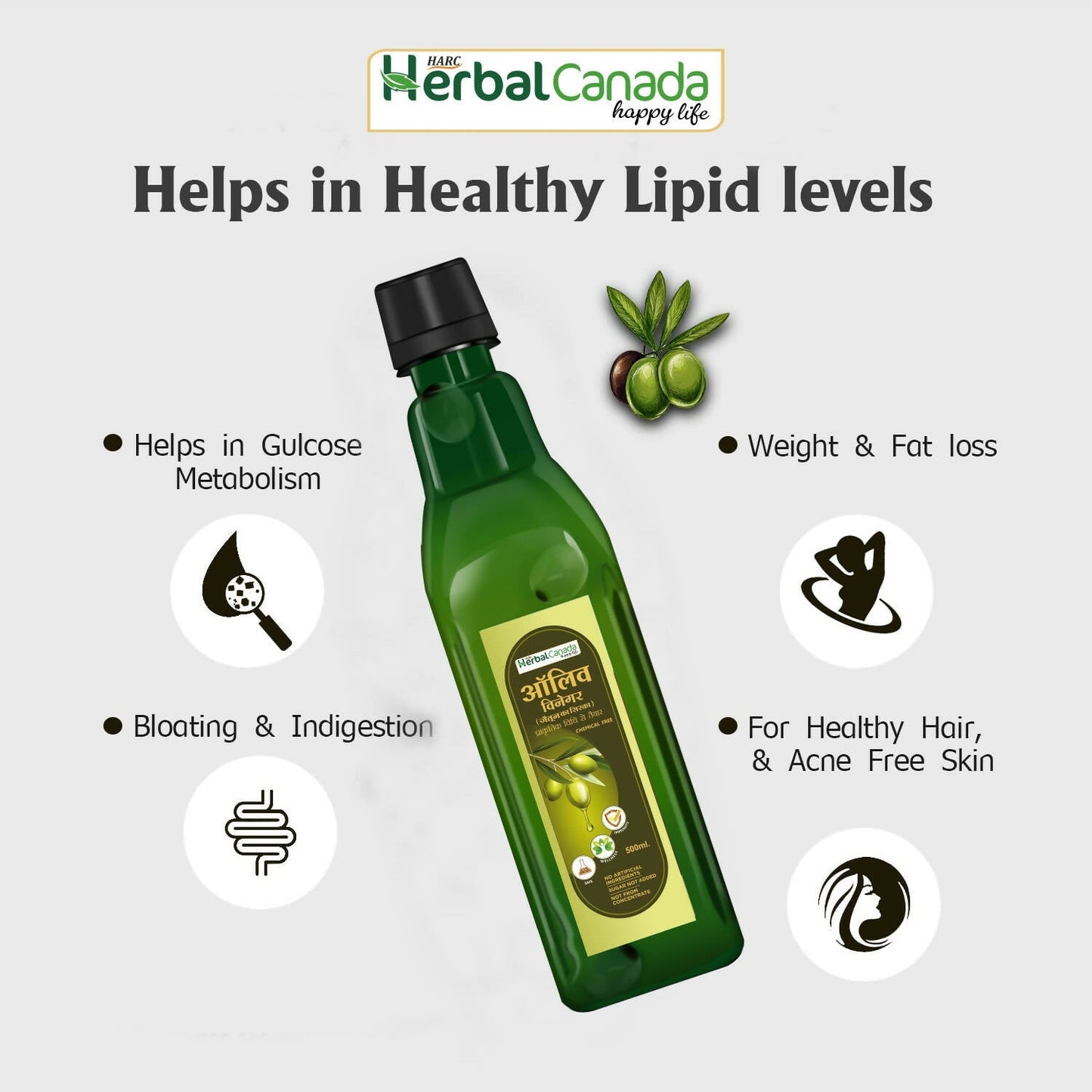 Herbal Canada Olive Vinegar - Indyancart