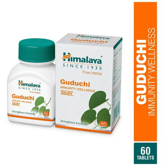 Himalaya Herbals Guduchi Immunity Wellness Tablets - Indyancart
