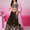 Women Olive Organza Sequins embroidery  Lehenga choli & Dupatta