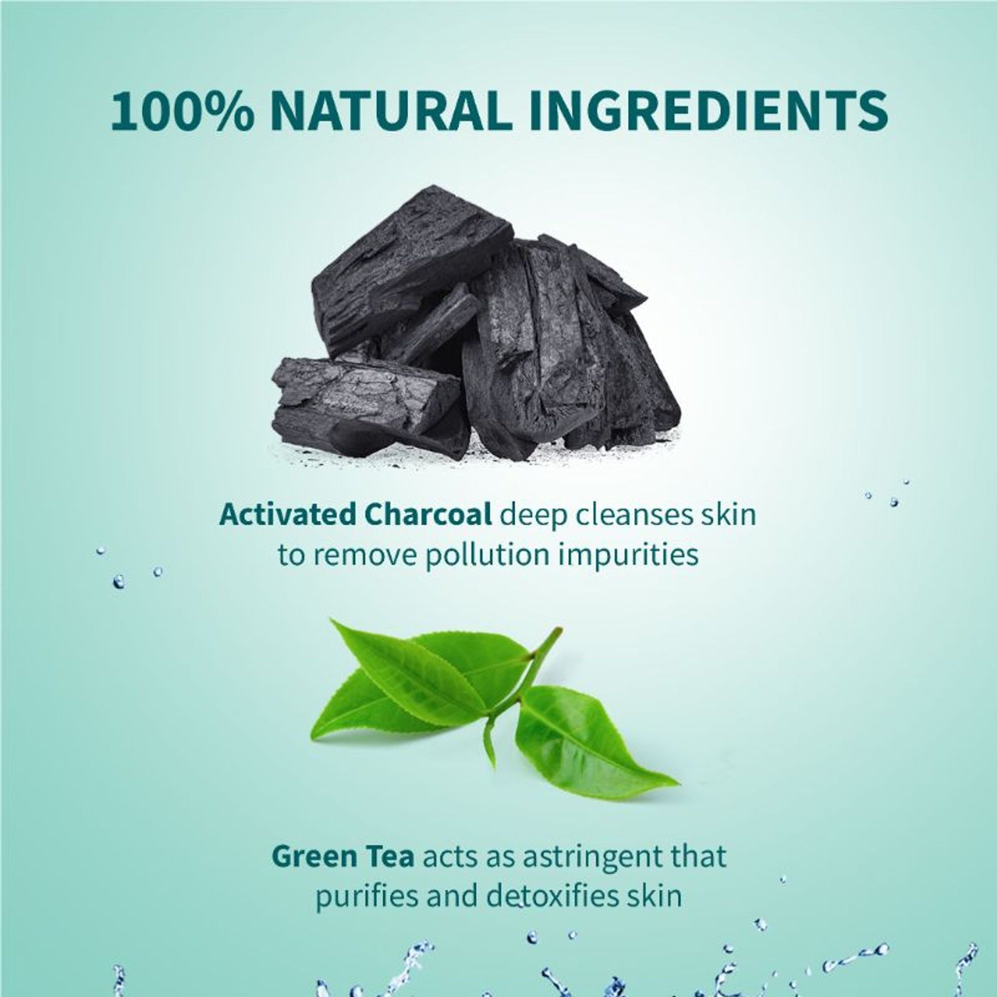 Himalaya Pollution Detox Charcoal Face Pack