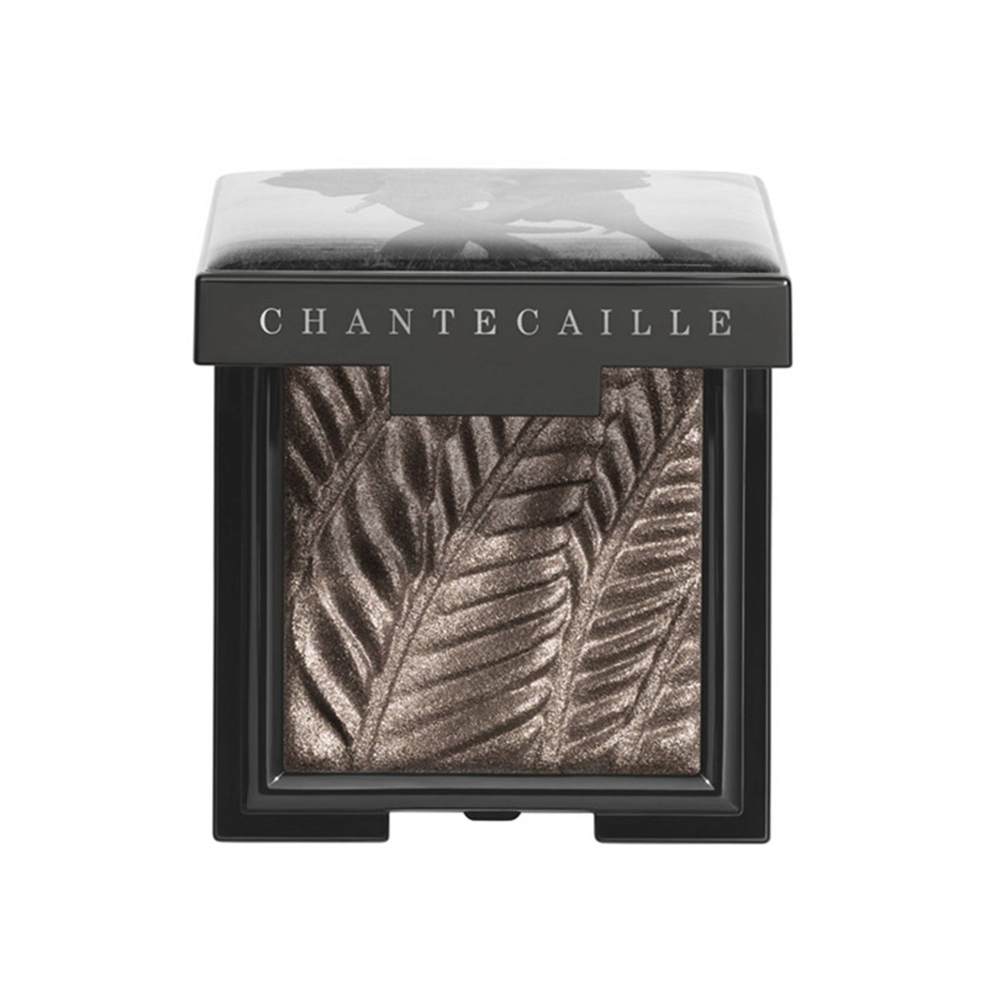 Chantecaille Luminescent Eye Shade - Elephant