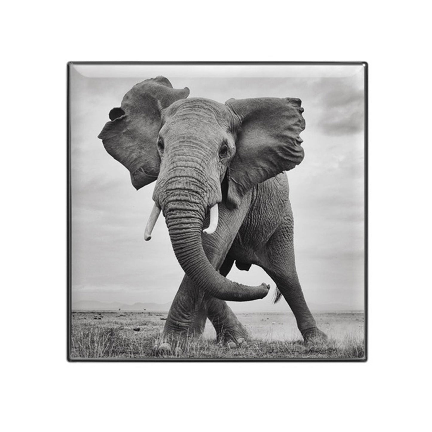Chantecaille Luminescent Eye Shade - Elephant