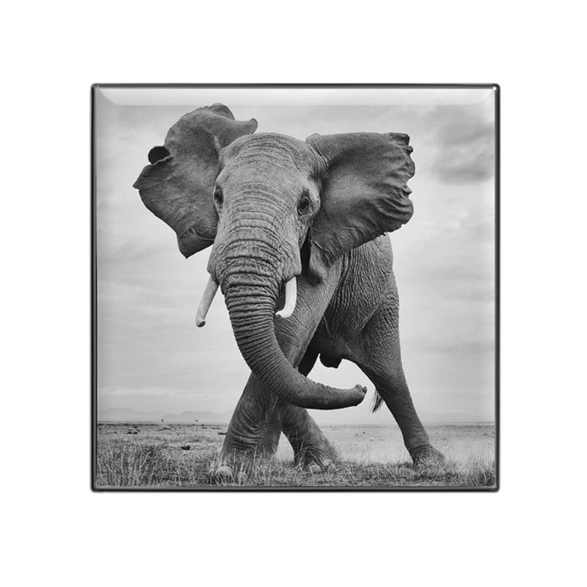 Chantecaille Luminescent Eye Shade - Elephant