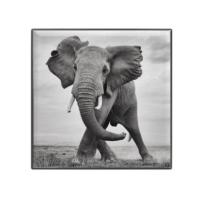Chantecaille Luminescent Eye Shade - Elephant