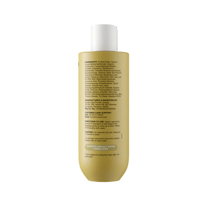 Bare Anatomy Oil Control Shampoo Sulphate-Free For Oily Scalp