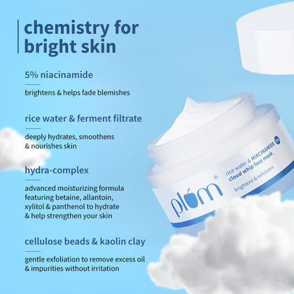 Rice Water & 5% Niacinamide Cloud Whip Face Mask