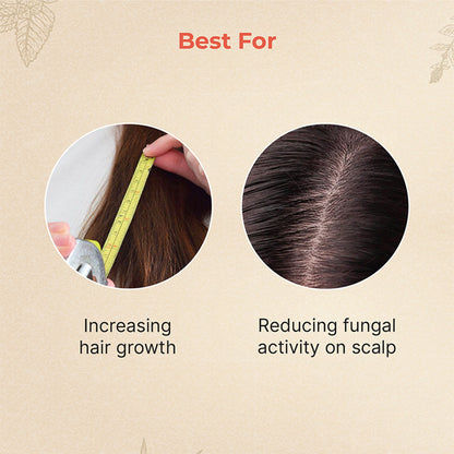 Vedix Amla Booster Hair Oil - Hair Growth & Thick Hair - Vikruth Amla Booster Oil