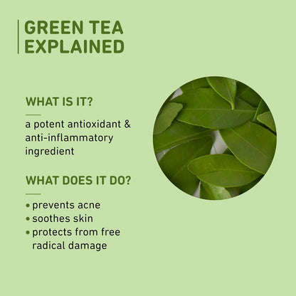 Plum Goodness Green Tea Mattifying Moisturizer for Oily & Acne-Prone Skin