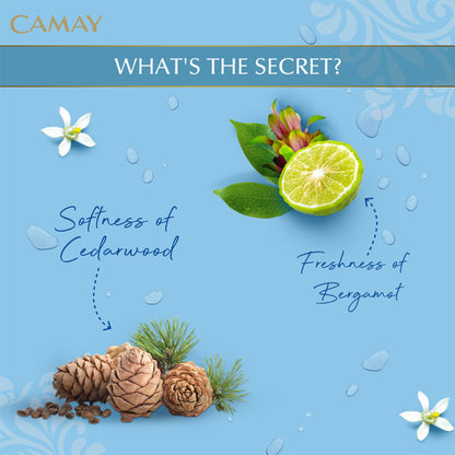 Camay Natural Cedarwood & Bergamot Beauty Soap - Pack Of 4