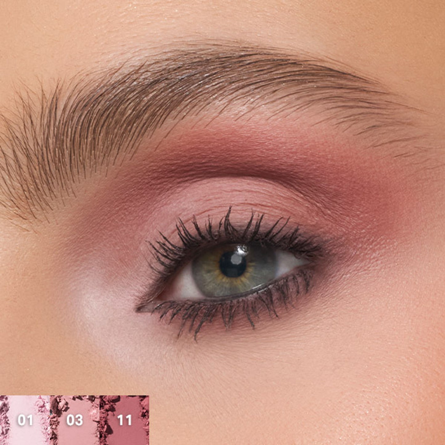 MORPHE ChromaPlus 12-Pan Eyeshadow Palette - Rose Frequency