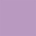 Purple Peep Matte