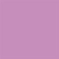 Mystic Purple