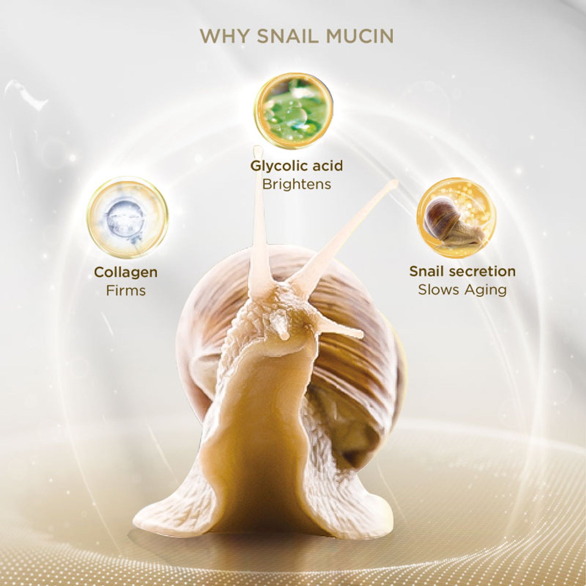 Bio-essence Bio-Snail Repair & Smooth Cream