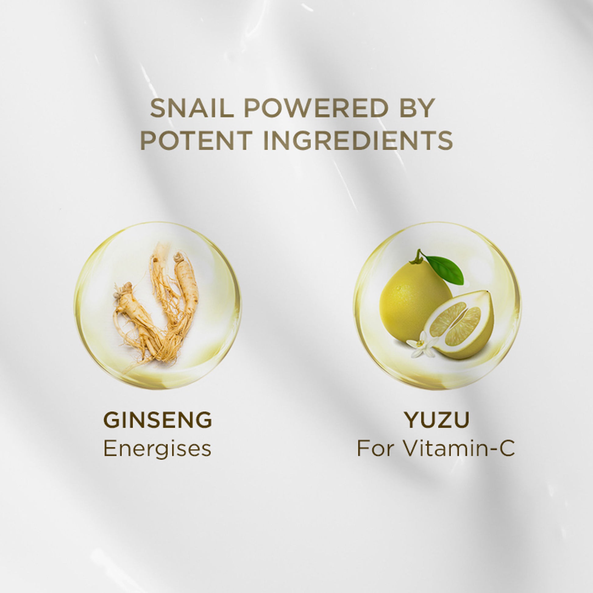 Bio-essence Bio-Snail Repair & Smooth Cream