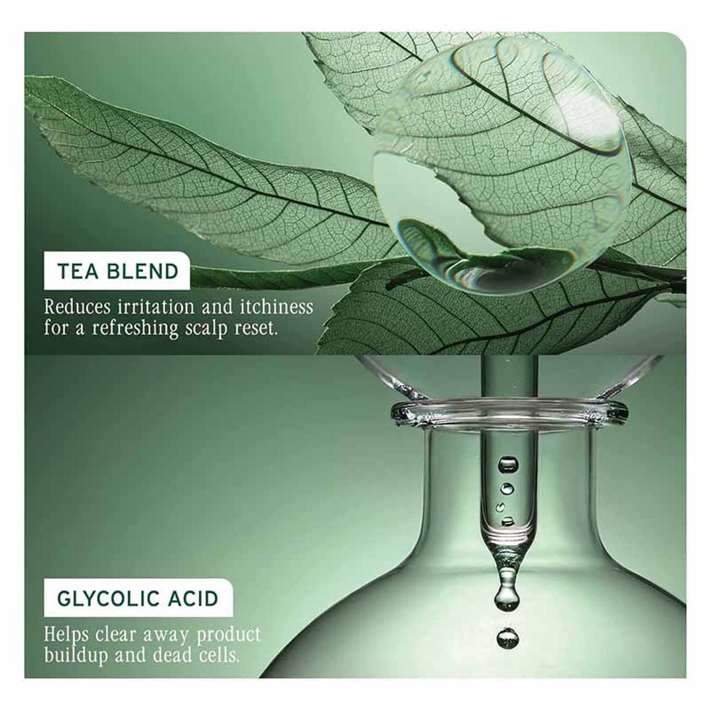 Biolage Scalp Sync Anti-Dandruff Exfoliating Concentrate with Glycolic acid & fermented tea blend