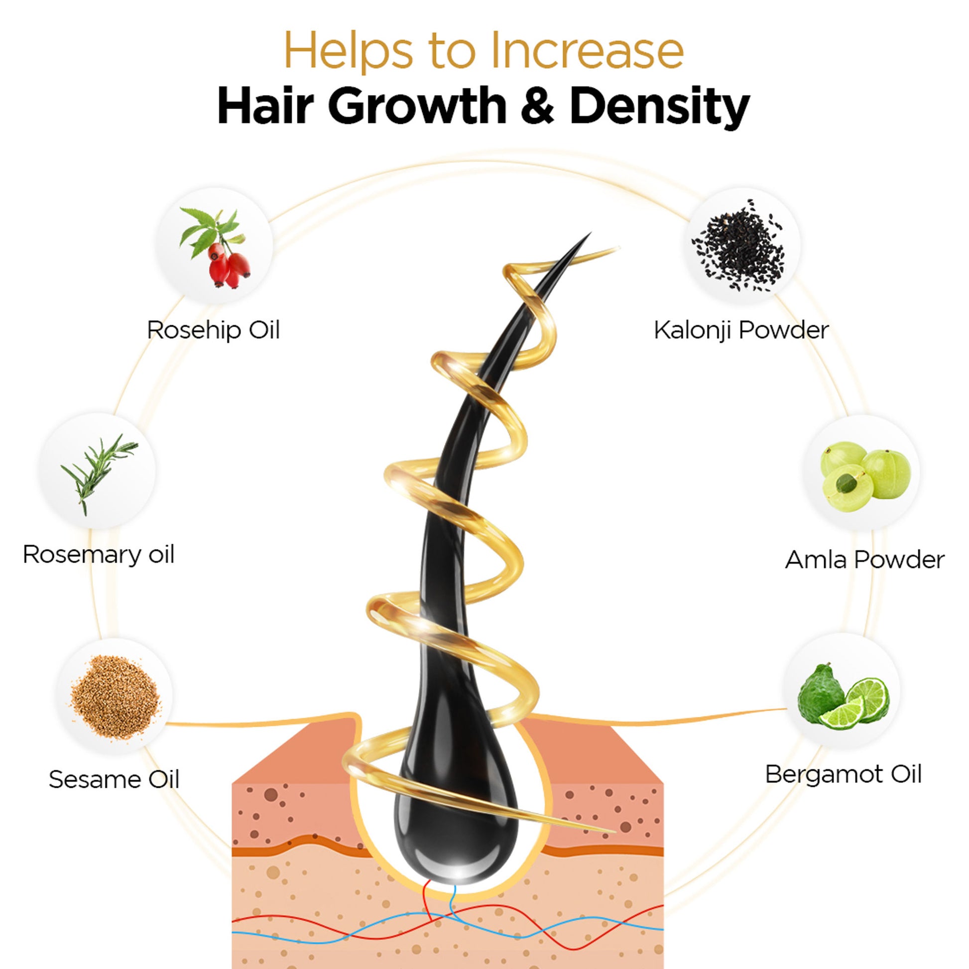 PROTOUCH PROGROW Hair Growth Oil with Rosemary & Methi,Hair Regrowth, Anti Hair Fall & Anti Dandruff