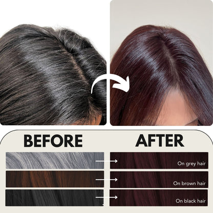 Paradyes Timeless Permanent Creme Hair Colour - 3.6 Black Cherry