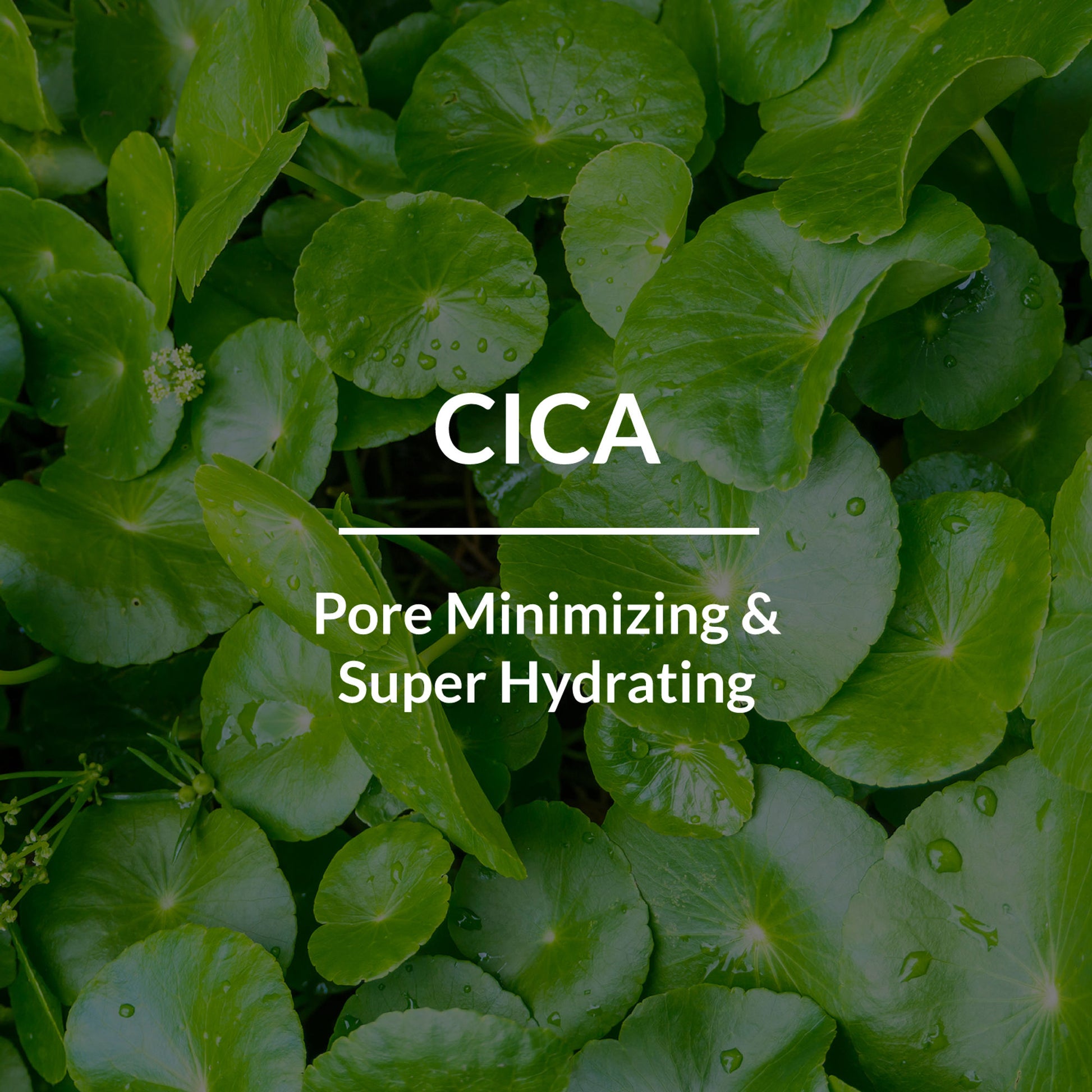 Lotus Botanicals CICA Pore Minimizing Face Toner