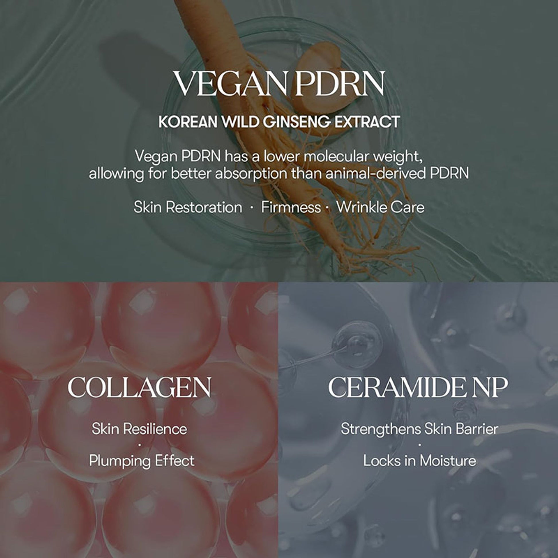 VT Cosmetics PDRN Essence Stick Balm