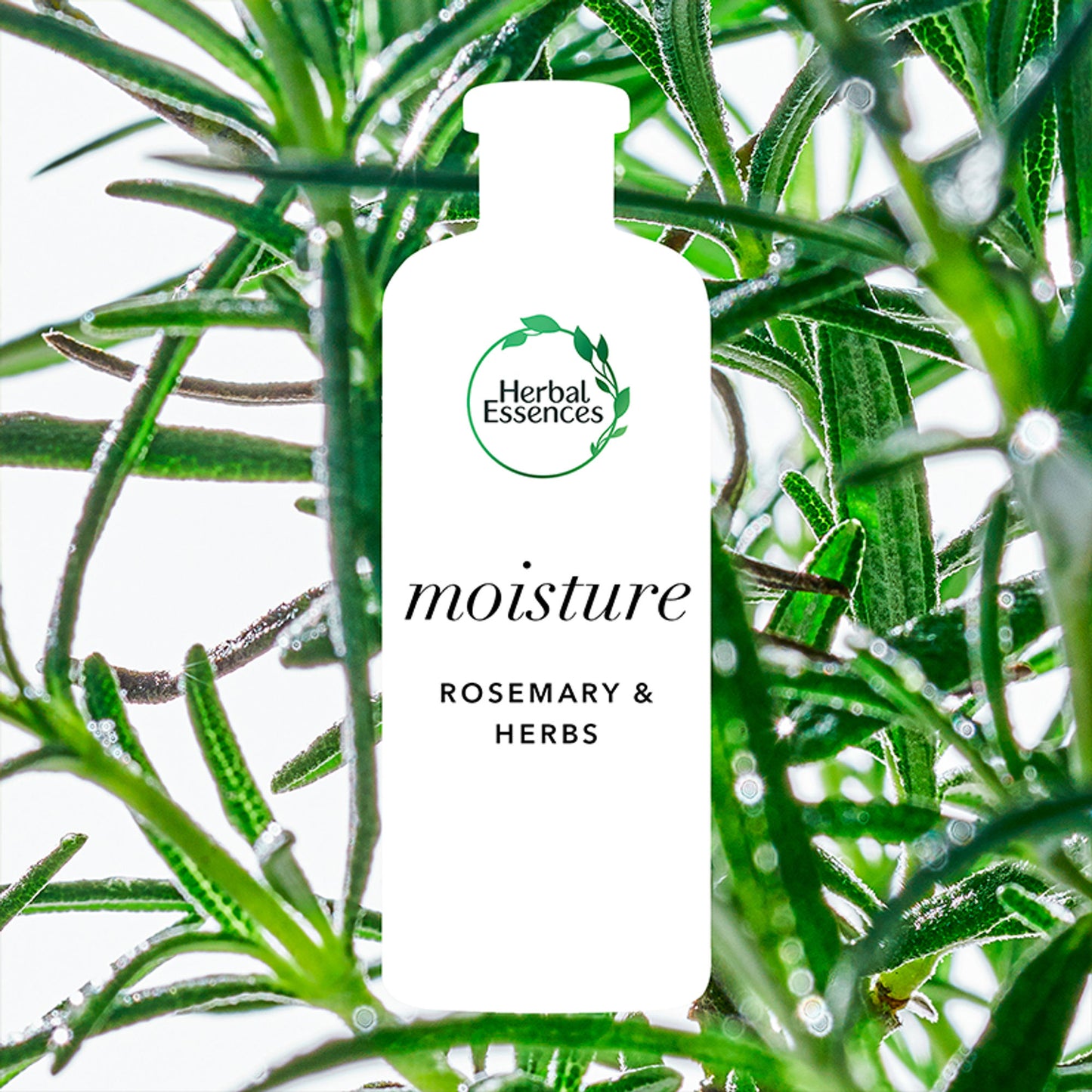 Herbal Essences Bio-Renew Rosemary And Herbs Shampoo, No Parabens No Colorants