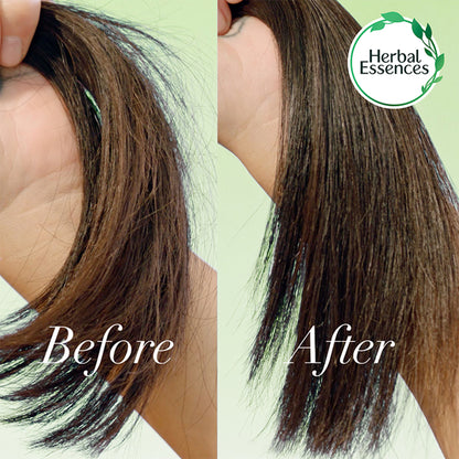 Herbal Essences Bio-Renew Rosemary And Herbs Shampoo, No Parabens No Colorants