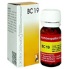 Dr. Reckeweg Bio Combination 19 (BC 19) Tablets