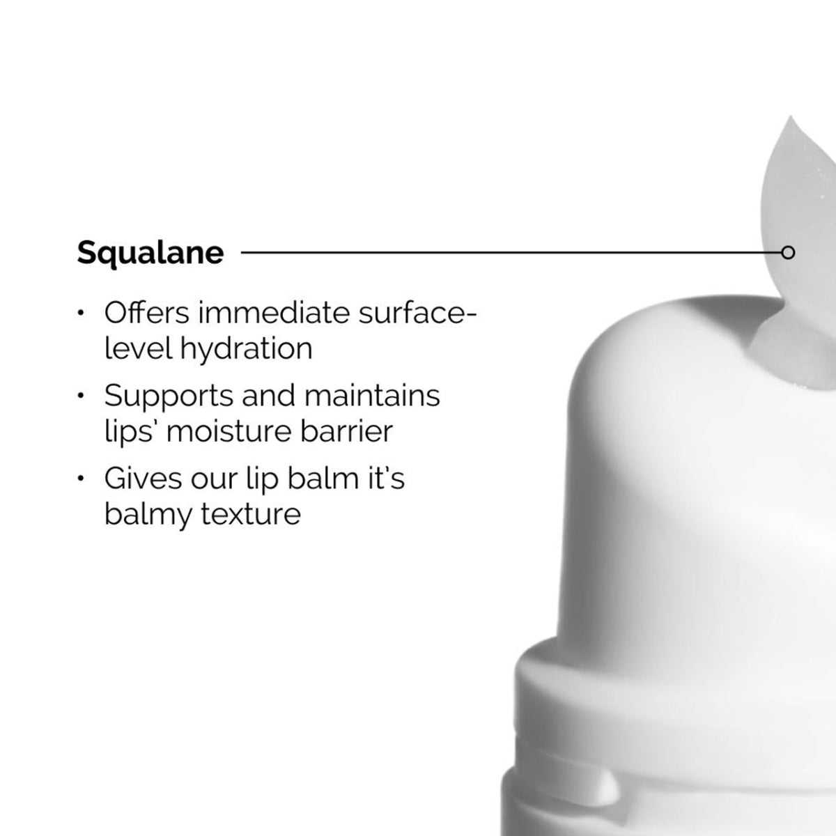 The Ordinary Squalane + Amino Acids Lip Balm