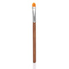 Tinge Lipstick & Concealer Lip Brush