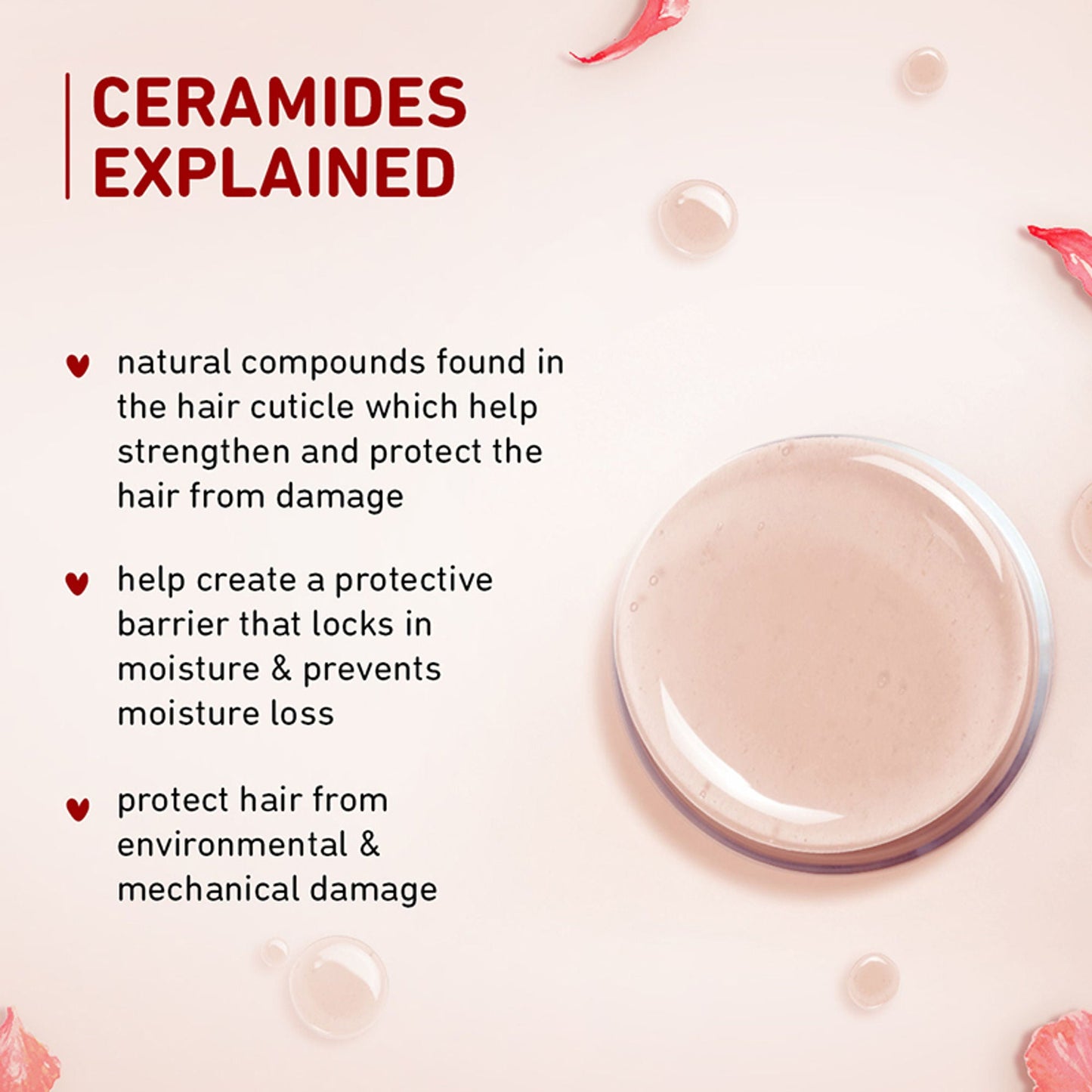 Plum Hibiscus & Ceramides Conditioner For Healthy- Long Hair