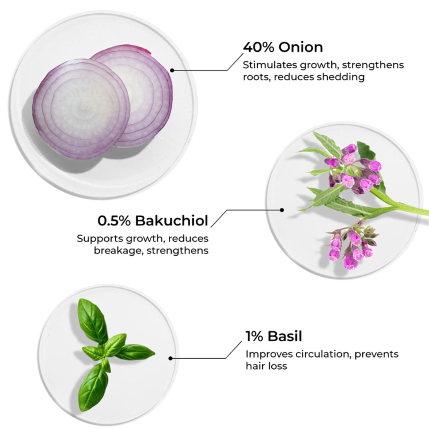 Brillare 40% Onion Oil shots for Hair Fall Reduction Visible Hair Fall Reduction in 15 Days