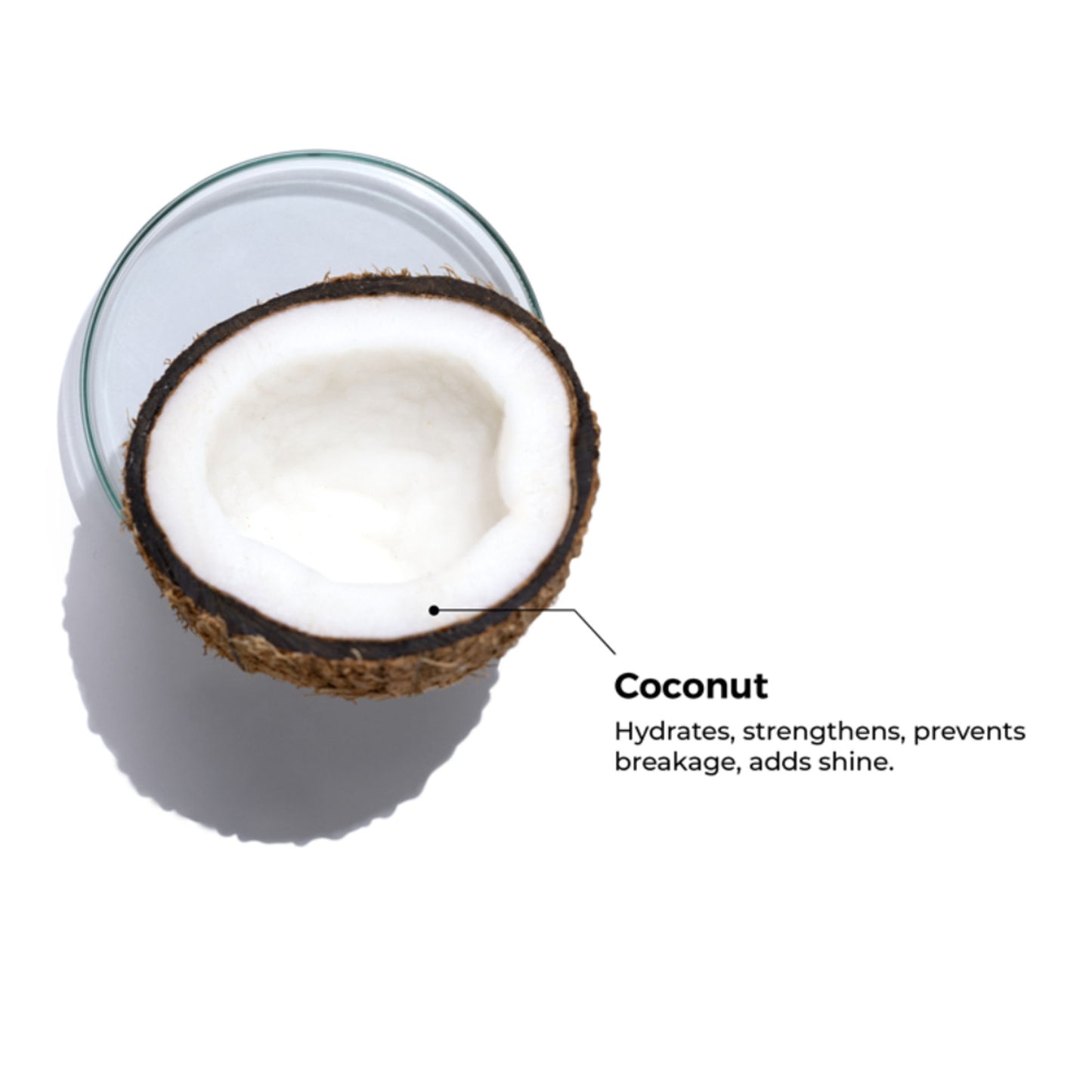 Brillare 100% Organic Pure Cold-Pressed Coconut Oil for Moisturizer, Repair & Anti-Frizz Hair