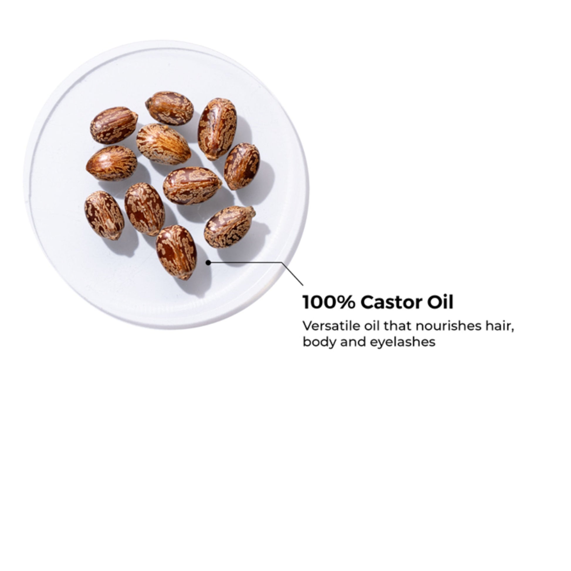 Brillare 100% Pure Cold-Pressed Castor Oil for Hair & Skin Strengthens Hair Roots Moisturizes Skin
