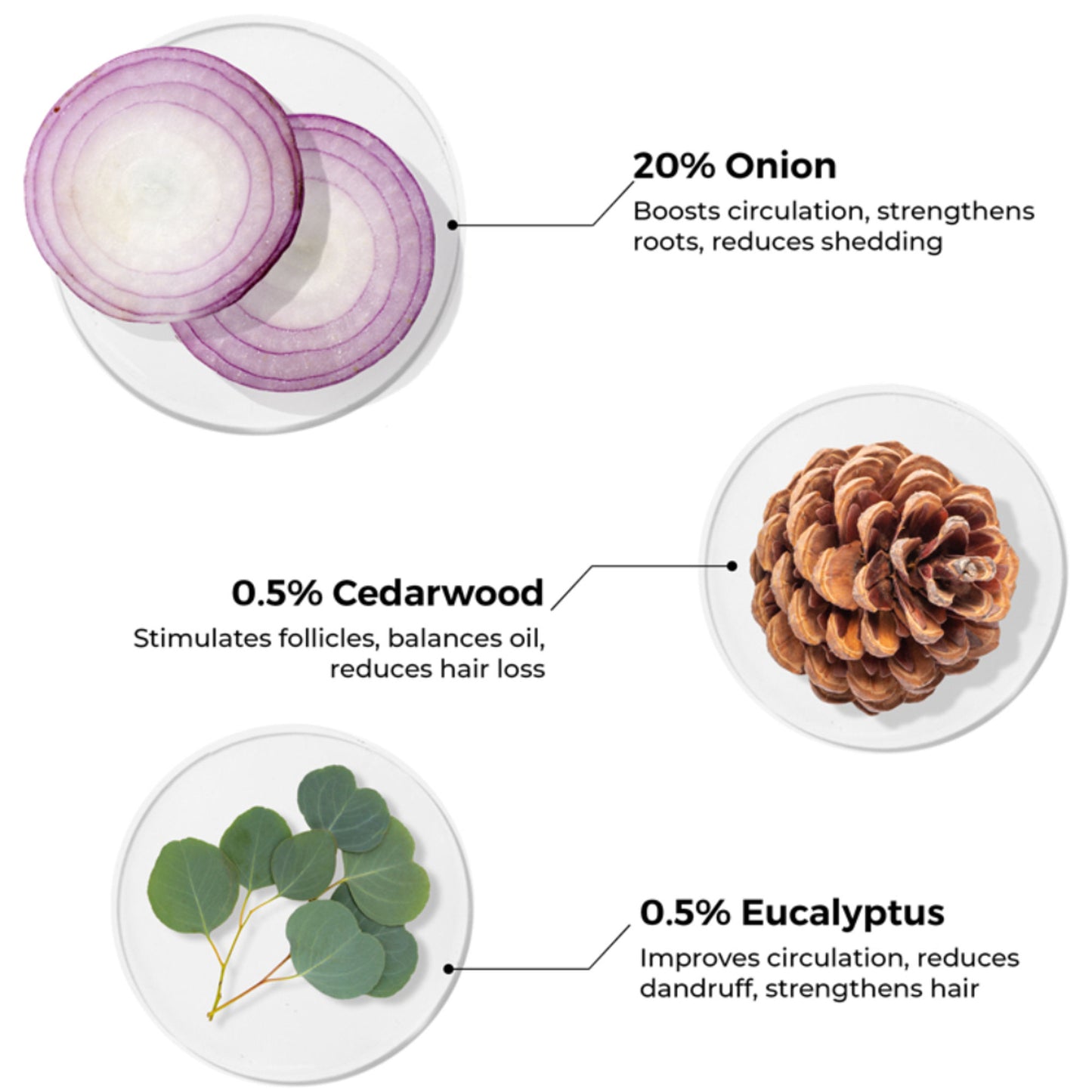 Brillare 20% Onion Hair Oil for Hair Fall Reduction Visible Hair Fall Reduction in 15 Days