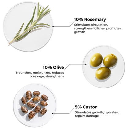 Brillare 10% Rosemary Hair Oil for Hair Growth Reduces Hair Fall & Strengthens Hair